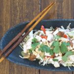 Low Carb Asian Slaw with Chicken