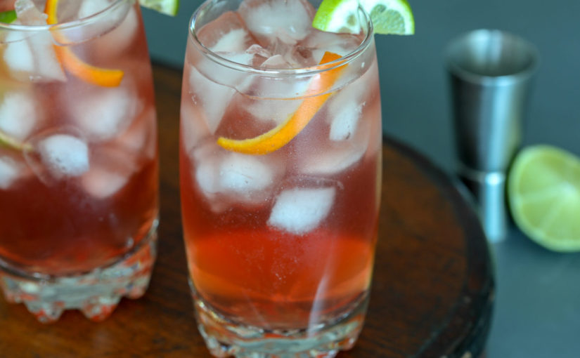 Low Carb Cranberry Vodka Spritz