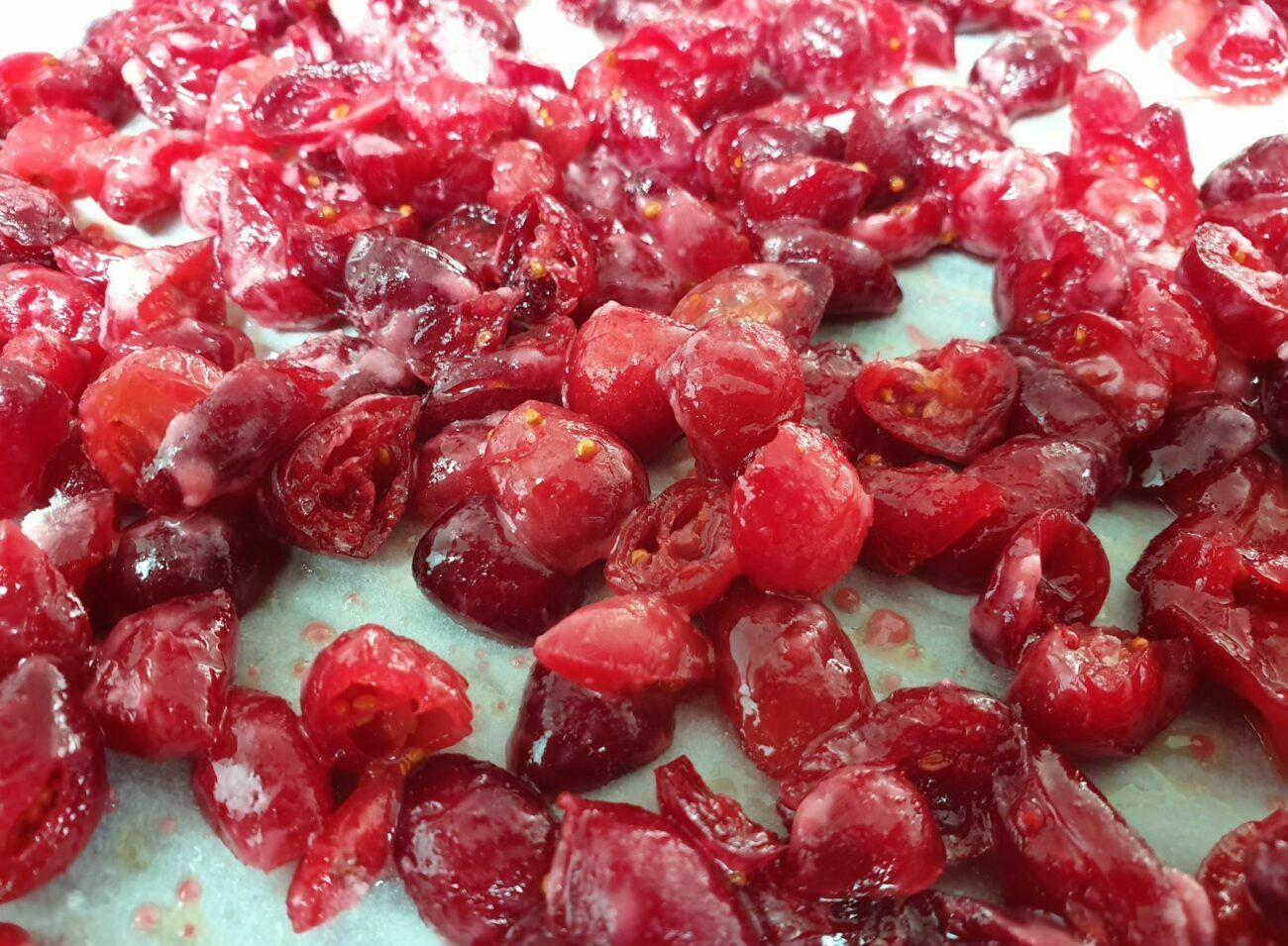 Sugar Free Dried Cranberries