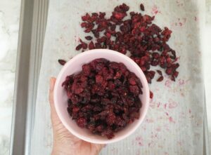 Sugar Free Dried Cranberries