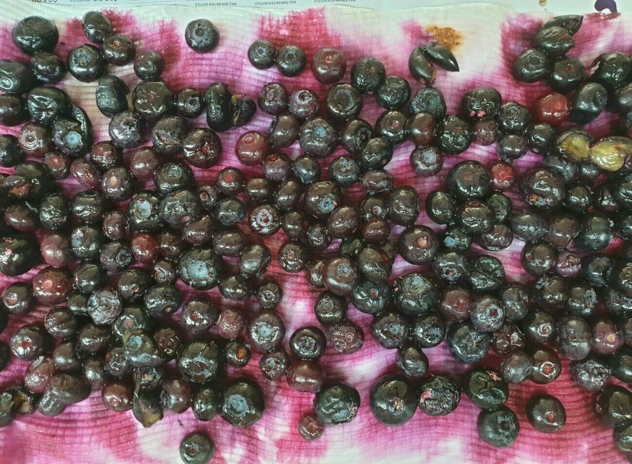 Sugar Free Dried Blueberries