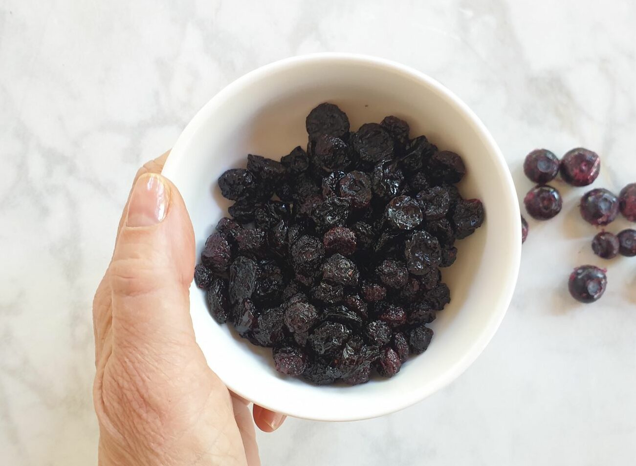 Sugar Free Dried Blueberries